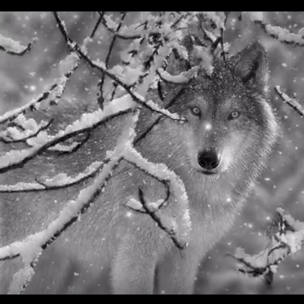 Meet your Posher, Leticia